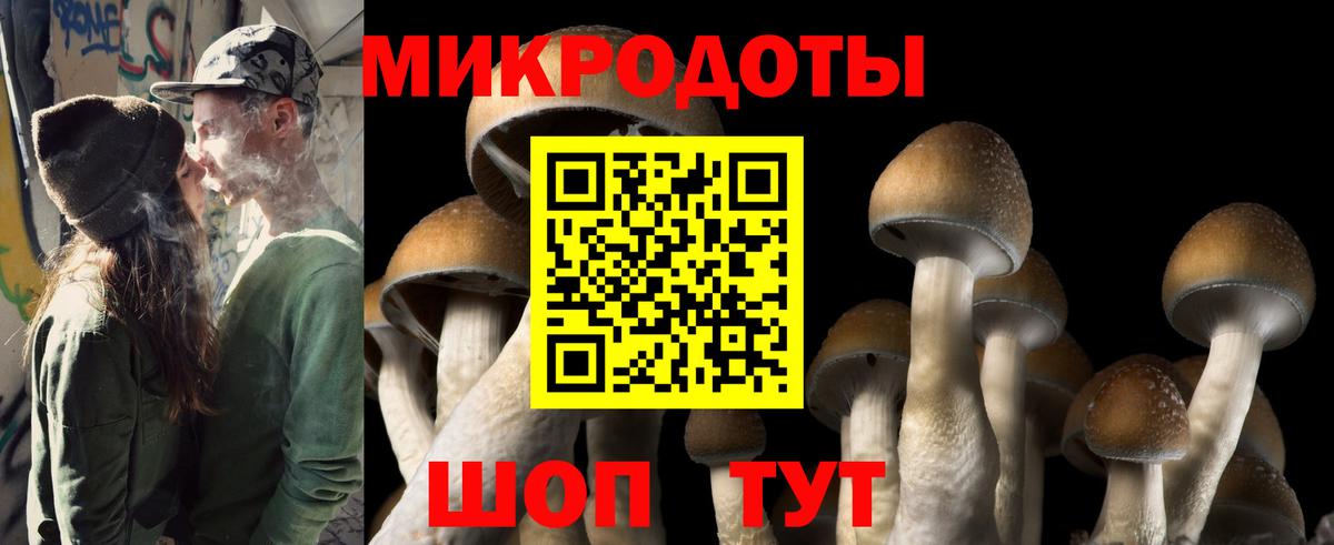 Соликамск  Галлюциногенные грибы Cubensis  наркошоп  Галлюциногенные грибы мицелий  Вход с VPN 
