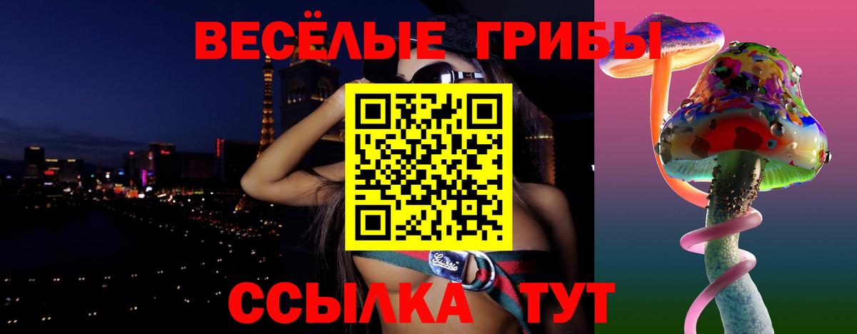 Галлюциногенные грибы Psilocybine cubensis Соликамск